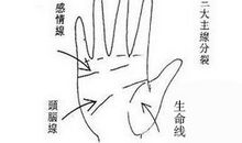 精神分裂的女人掌相