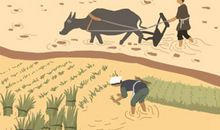 羡煞旁人，这些生肖配对会越来越富有