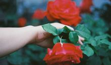 如萱2018年狮子座运势