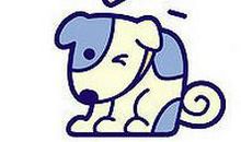 生肖为狗的人是什么天才