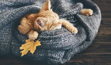 猴年出生的宝宝起名