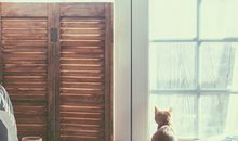 猴宝宝起名宜用的部首