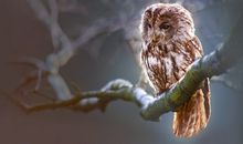 Eskey水瓶座一周运势（8.20-8.26）