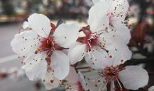 说给男人听的风水私房话