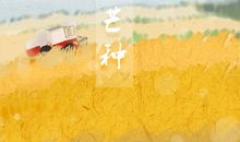 芒种节气吃什么食物 传统食物是哪些