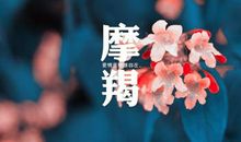 天秤座今日运势2014年8月12日