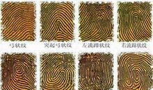 从食指看你的爱情运势如何