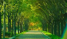 Alex金牛座一周运势（6.4—6.10）