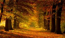 Alex处女座一周运势（6.4—6.10）