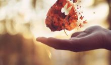 暗黑之星天秤座2017年占星运势