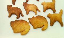 小乖麻根登卓玛2012年10月处女座运势