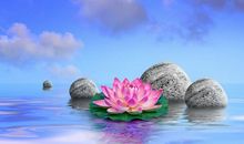 YAO叔天蝎座一周运势（9.3-9.9）