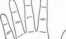 感情线分叉到智慧线会怎样