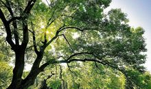 Alex双子座一周运势（6.4—6.10）