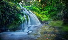 Alex水瓶座一周运势（6.4—6.10）