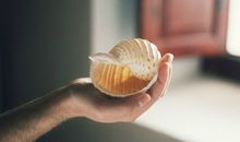 唐立淇2018年天蝎座上半年运势