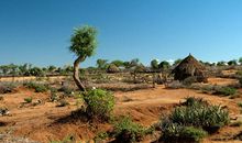 Alex巨蟹座一周运势（6.4—6.10）