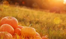 童子煞的坏处和化解