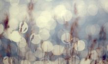 暗黑之星白羊座2017年占星运势