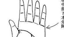 生命线和头脑线之起点