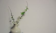 小乖麻根登卓玛2012年11月巨蟹座运势