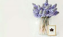 李云天2018年10月射手座运势