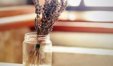 李云天2018年10月处女座运势