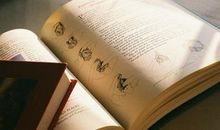 闹闹女巫店每日运势2015年11月07日