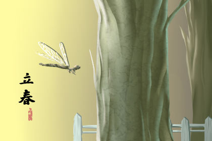 丽春吃什么食物传统食物有哪些1