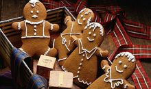 小乖麻根登卓玛2012年10月双子座运势