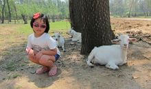 苏飞雅每日运势2013年7月6日