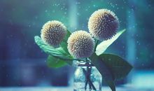 李云天2018年10月狮子座运势