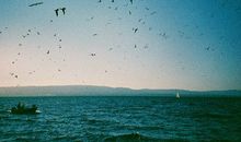 凰洛2018年1月天蝎座运势