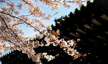 判答2018年巨蟹座运势