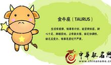 金牛座今日运势2012年11月16日