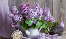 李云天2018年10月摩羯座运势