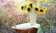 李云天2018年10月白羊座运势