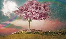 YAO叔今日运势2018年9月23日