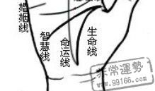 啥手相的婚姻能天长地久