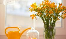 唐绮阳/唐立淇今日运势2018年9月18日