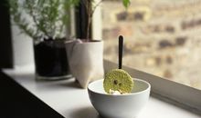 小乖麻根登卓玛2013年1月天蝎座运势