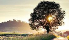 诡魅塔罗今日运势2018年9月13日