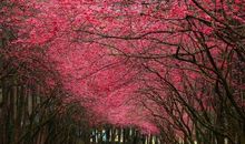 猫石对话每日运势2014年10月3日