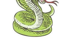 2017年属蛇人1月运程解析