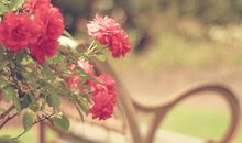 判答2018年双鱼座运势