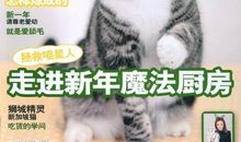 猫石对话每日运势2013年6月23日