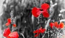 爱炫耀的命理特征