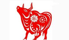 2017年属牛人2月运程解析