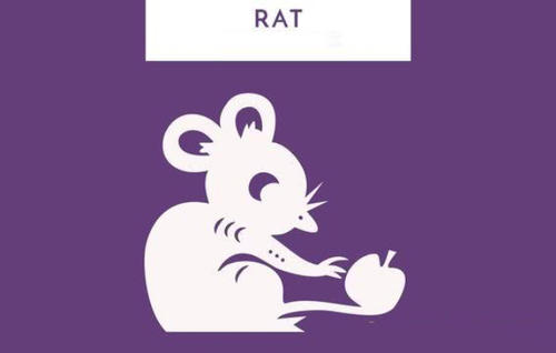 2017年2月老鼠人的命运分析