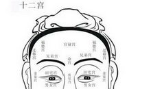 面相十二宫看运势